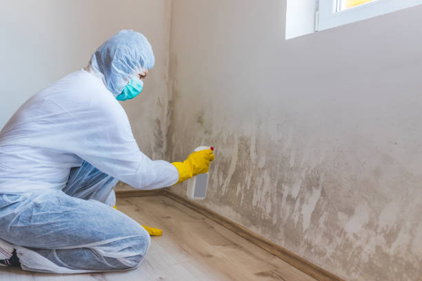 Mold Remediation specialist working in Fair Lawn